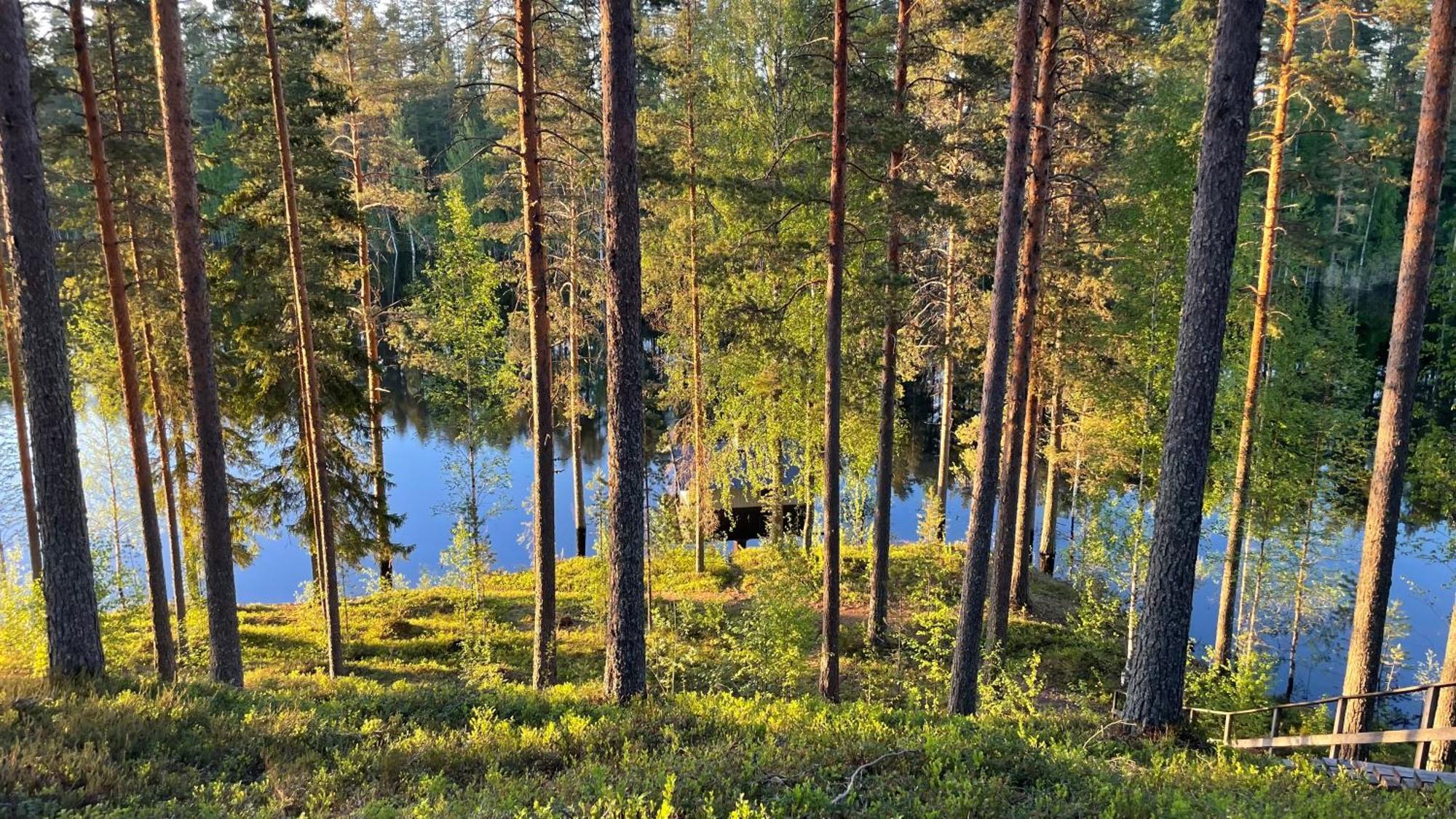 Ahvenlampi Camping サーリヤルヴィ エクステリア 写真