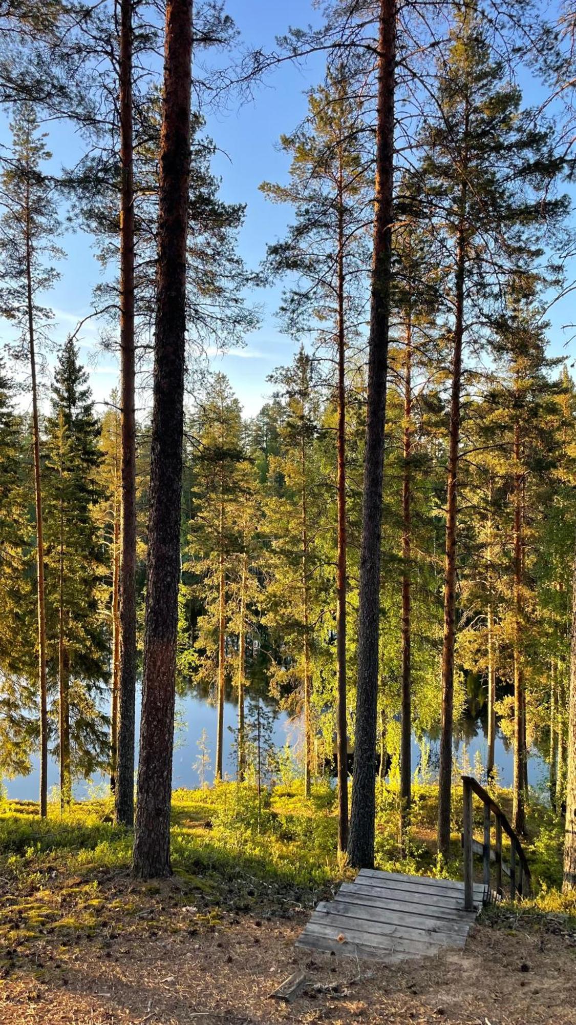 Ahvenlampi Camping サーリヤルヴィ エクステリア 写真