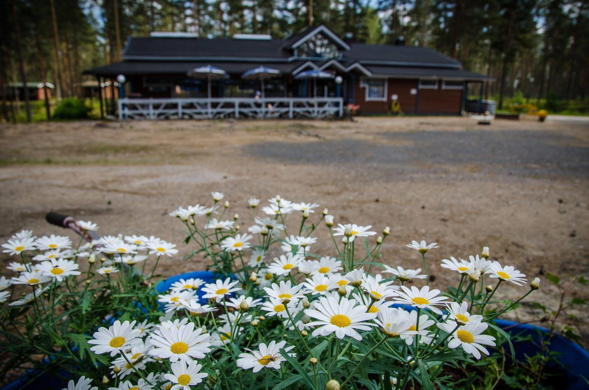 Ahvenlampi Camping サーリヤルヴィ エクステリア 写真
