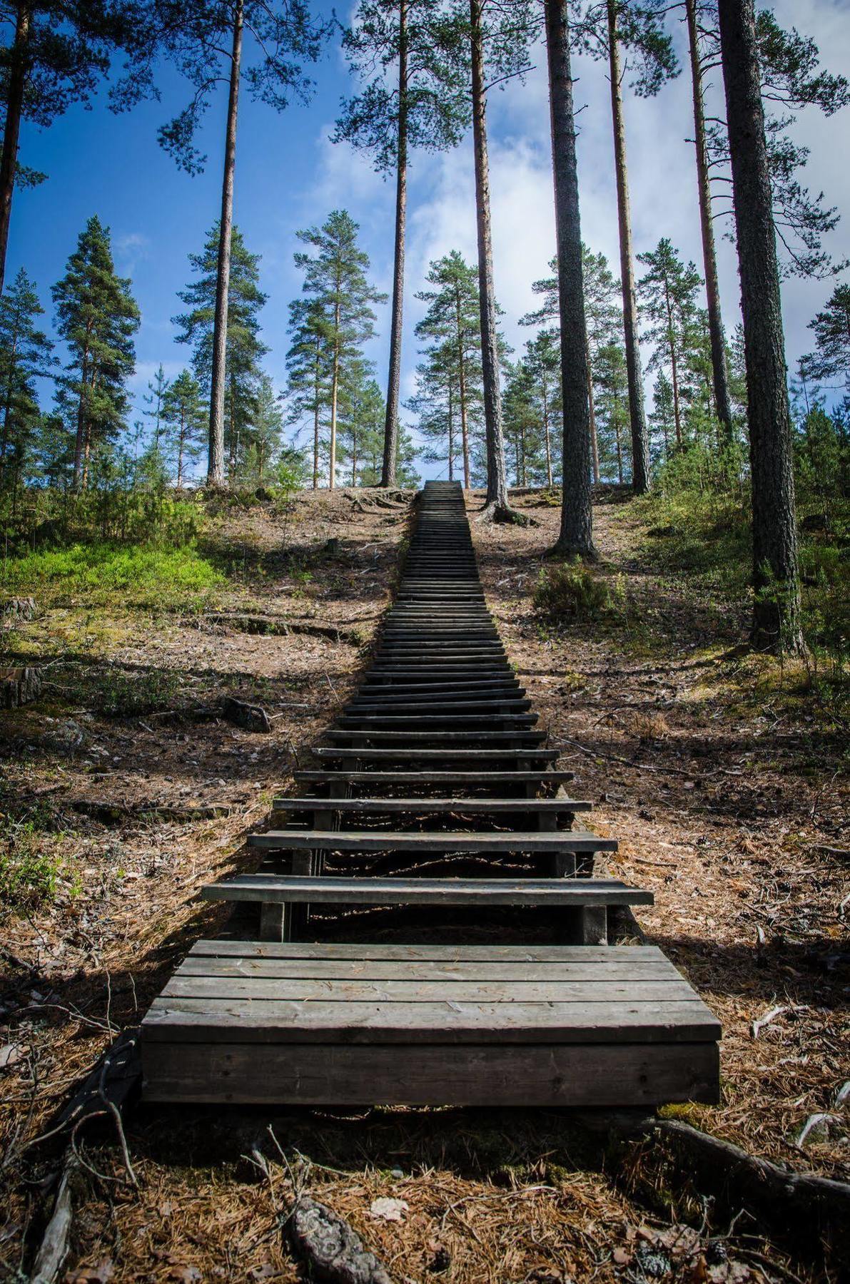 Ahvenlampi Camping サーリヤルヴィ エクステリア 写真